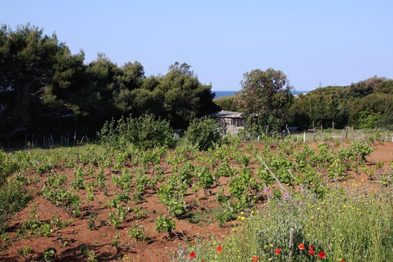 Apartments By The Sea Cove Blaca, Mljet - 4899 Саплунара Екстериор снимка